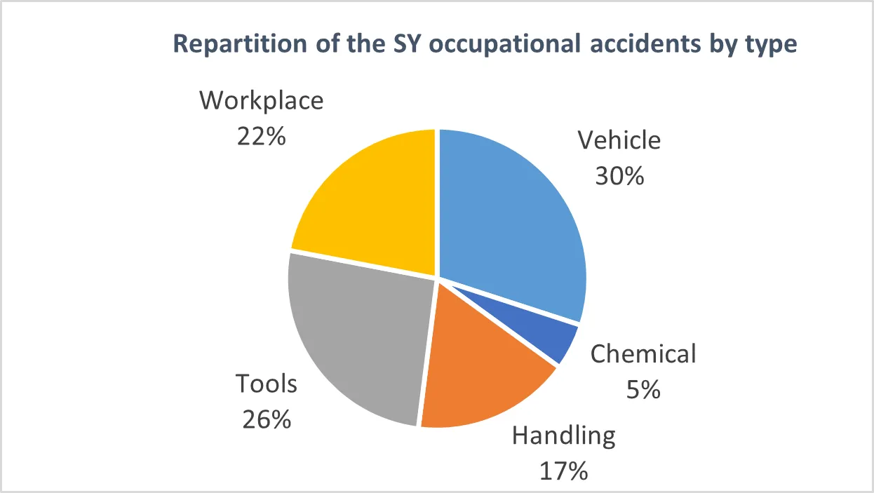 Repartition of the SY occupational accidents by type