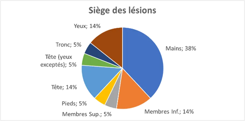 Siege des lesions